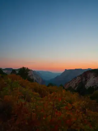 Dark desert shrubs stand against an orange dusk sky over the Zion plateau.