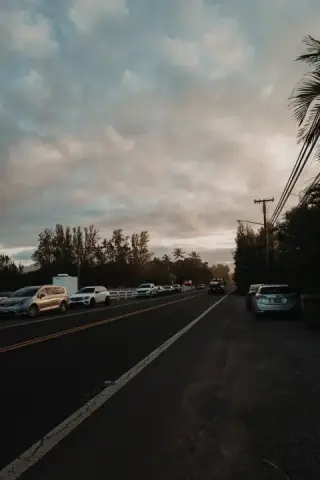 Palm-lined coastal road beneath layered clouds.