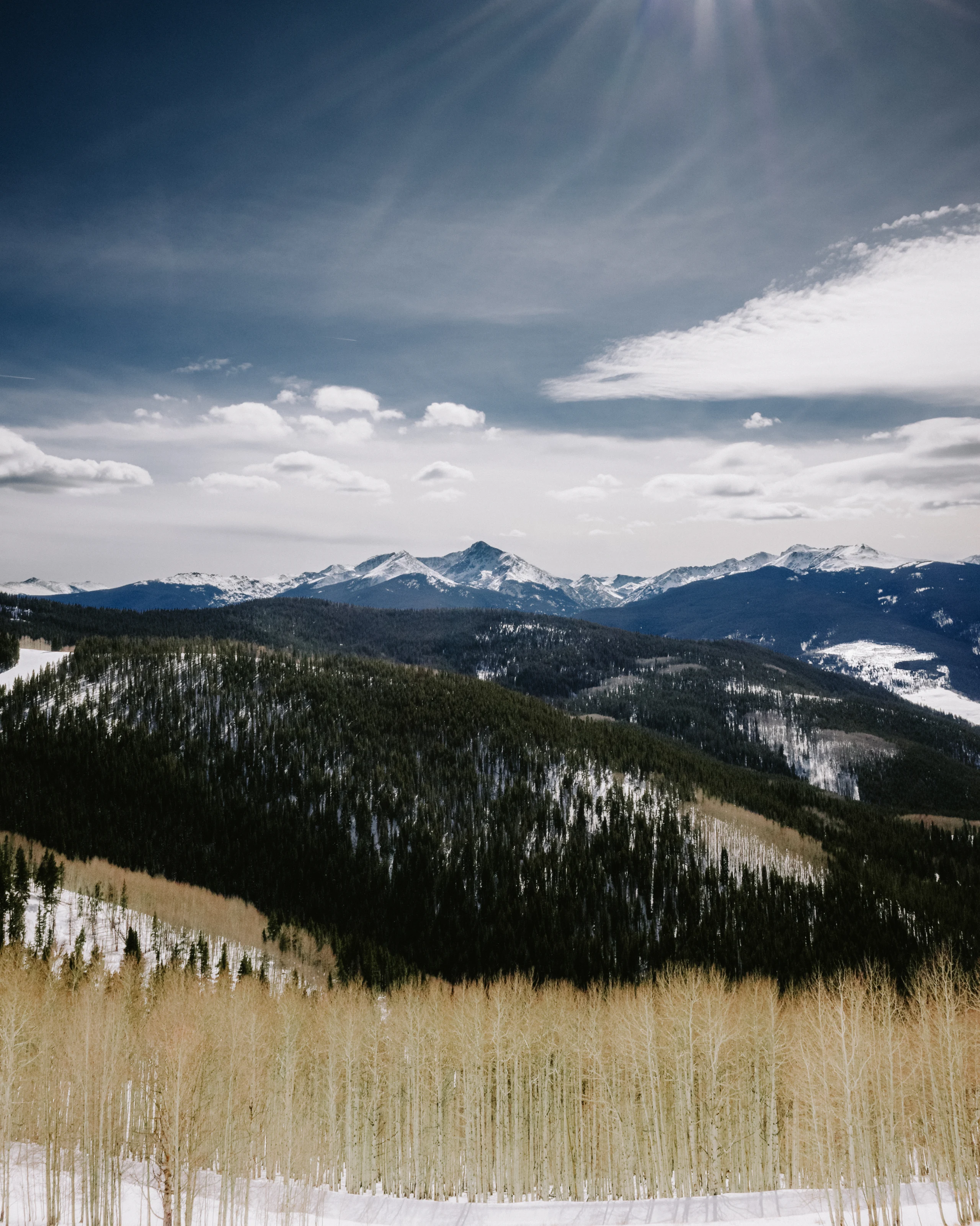 Wide mountain landscape with snowy peaks, evergreen ridges, and pale aspen forest under streaked clouds.