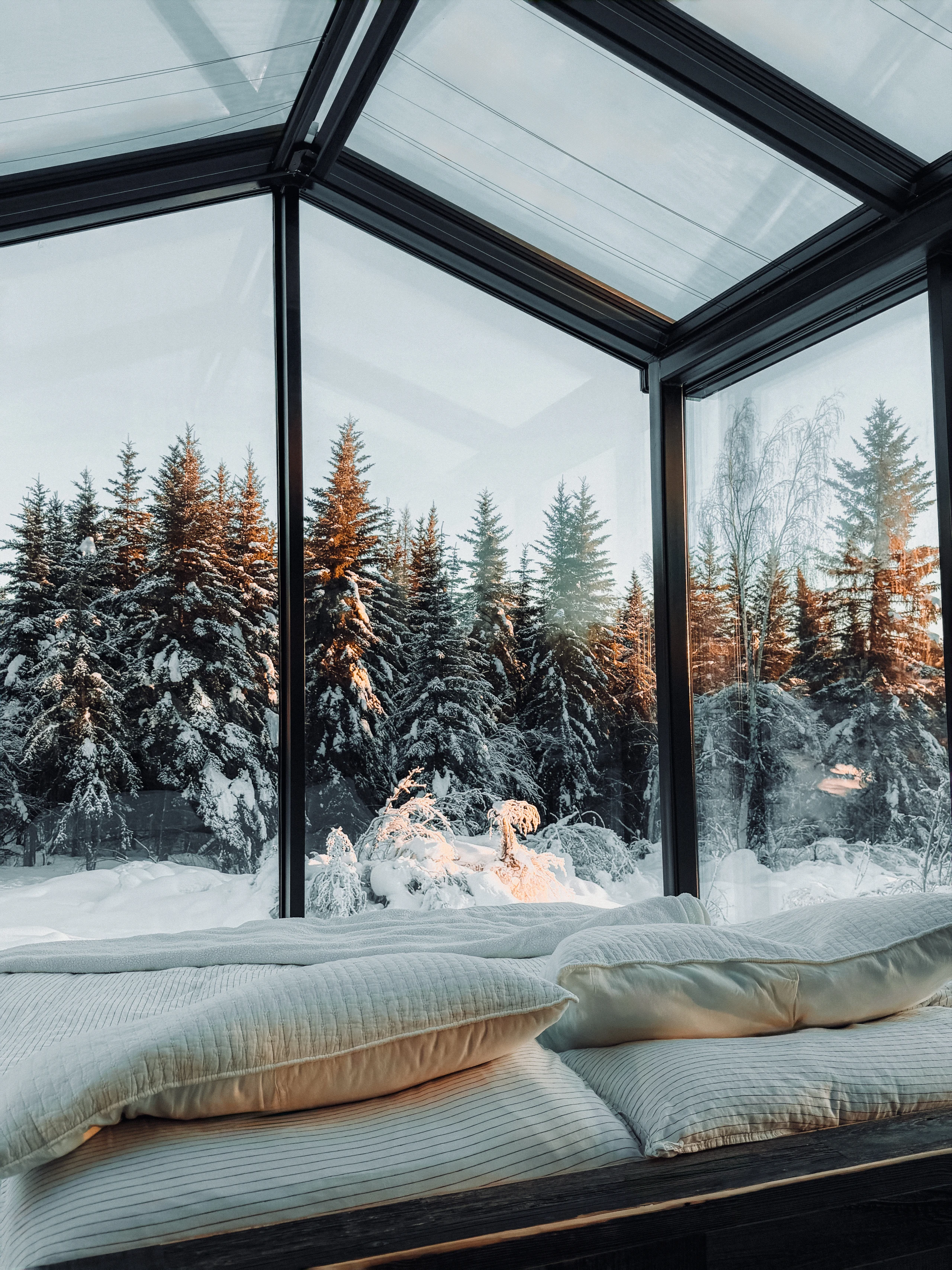 A glass-walled room with white cushions looks out onto sunlit, snow-covered spruce trees.