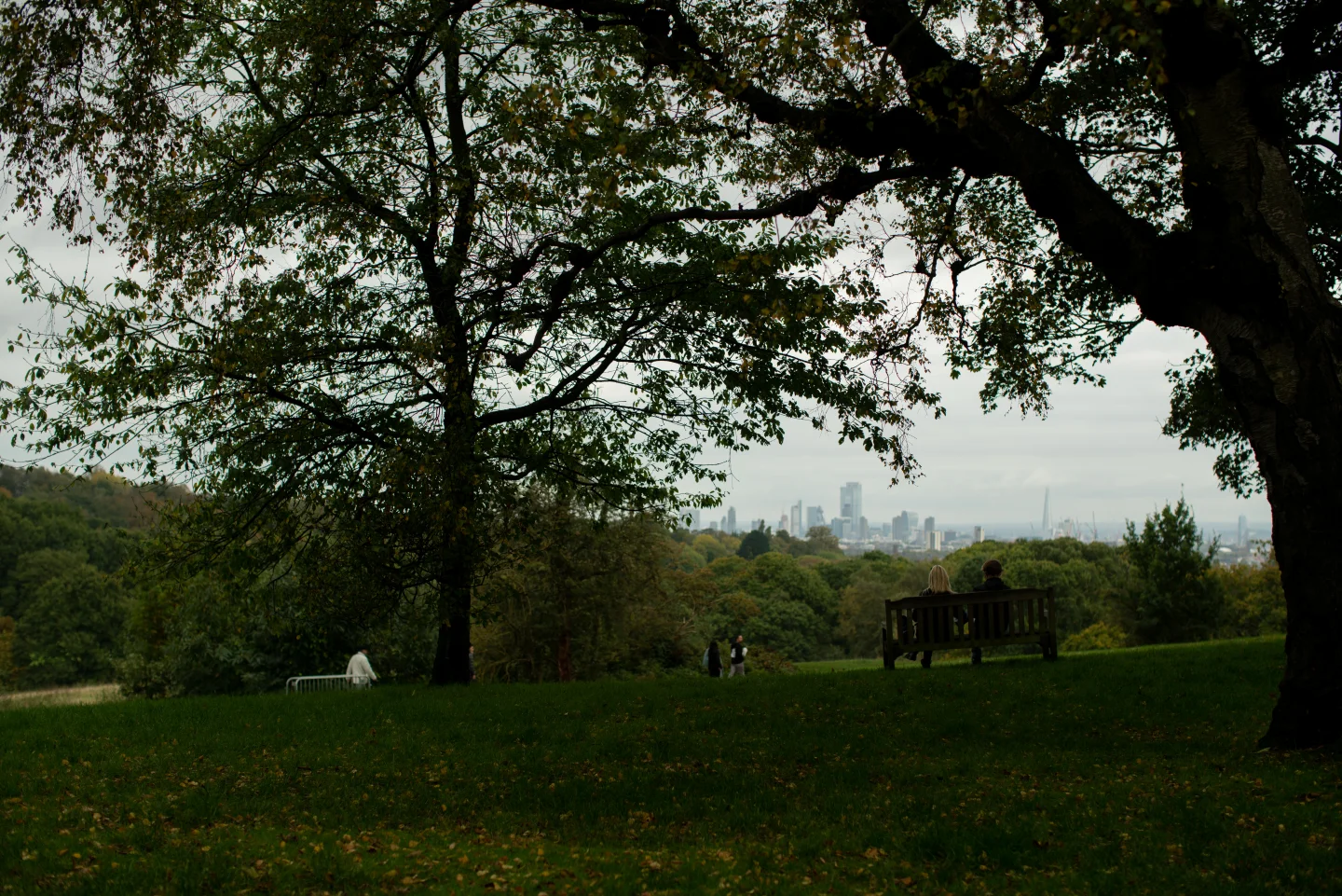 A broad tree frames a quiet lawn with the London skyline faintly visible beyond.
