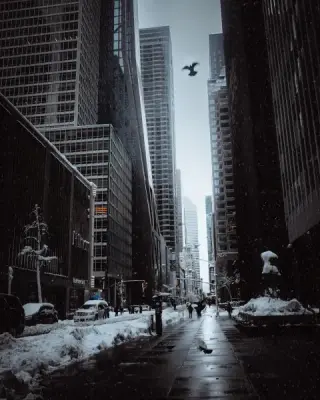 Pigeons flying above a wet Midtown avenue lined with snowy skyscrapers