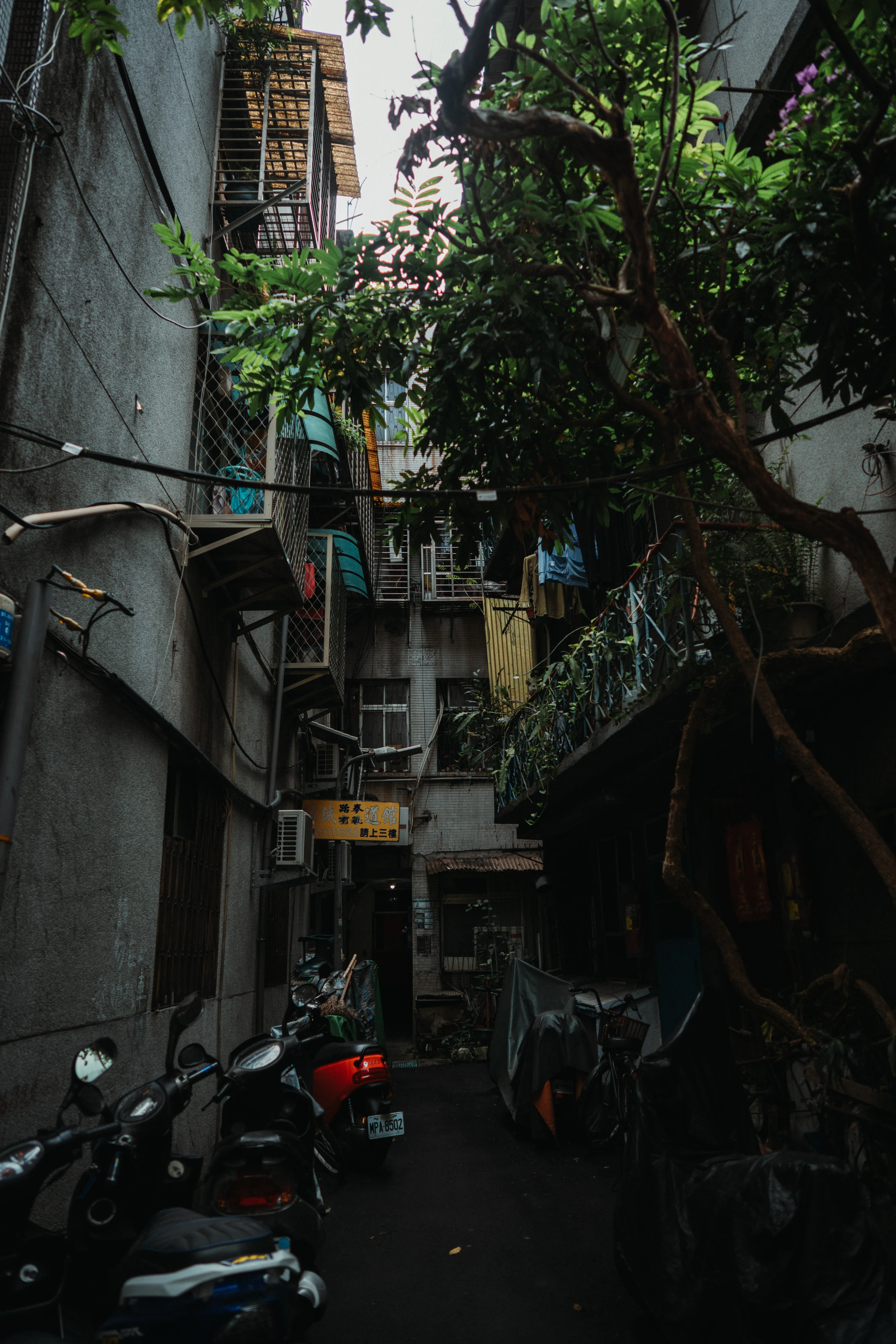 Scooter-lined Taipei alley filled with greenery.