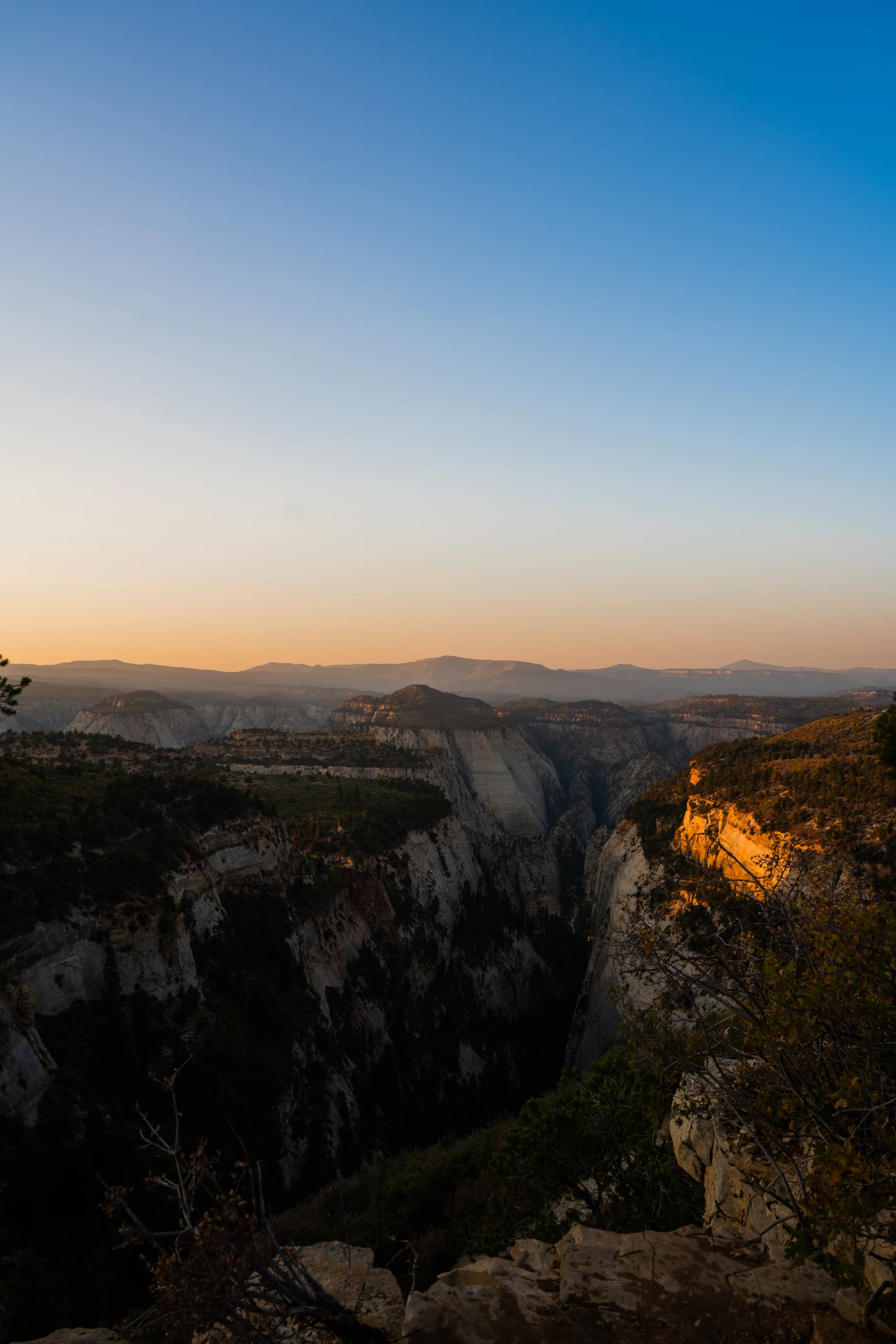 A vertical view of Zion canyon walls glowing orange at sunset.
