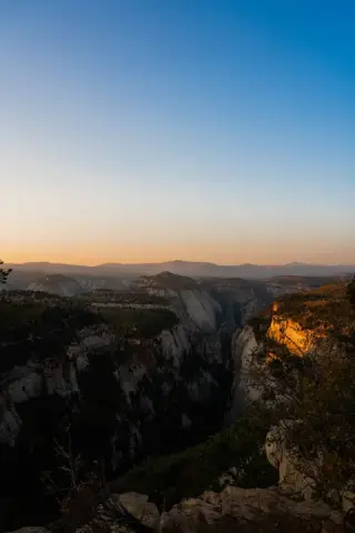 A vertical view of Zion canyon walls glowing orange at sunset.