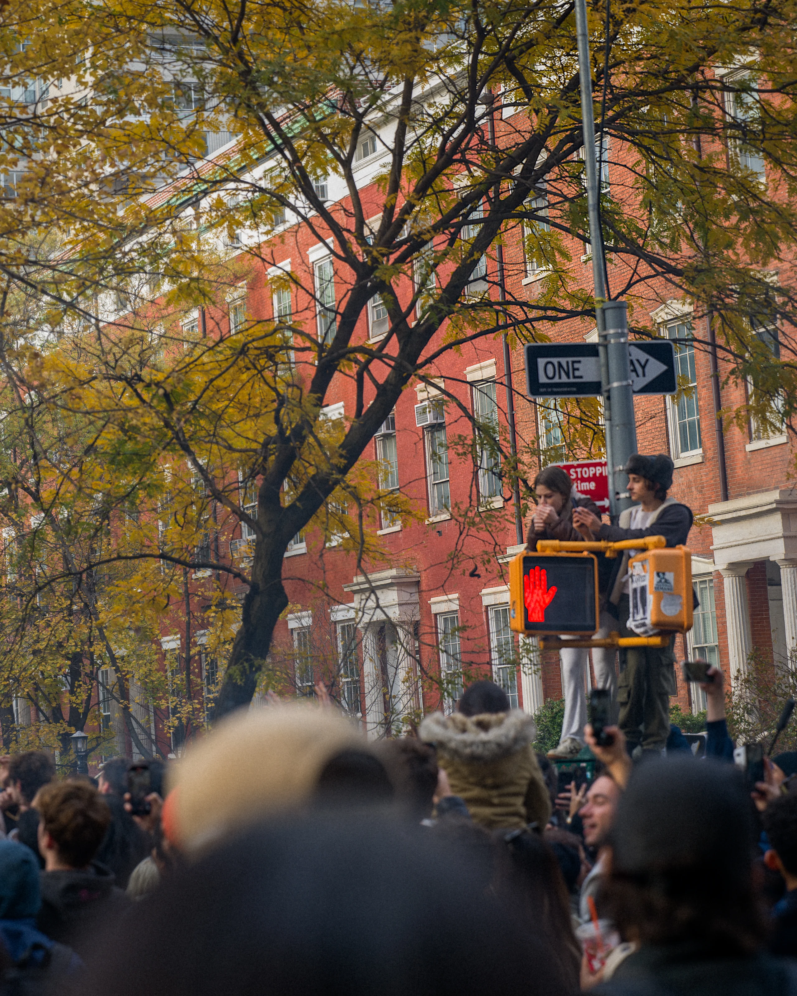 A crowd walking beneath autumn trees at a New York street corner.