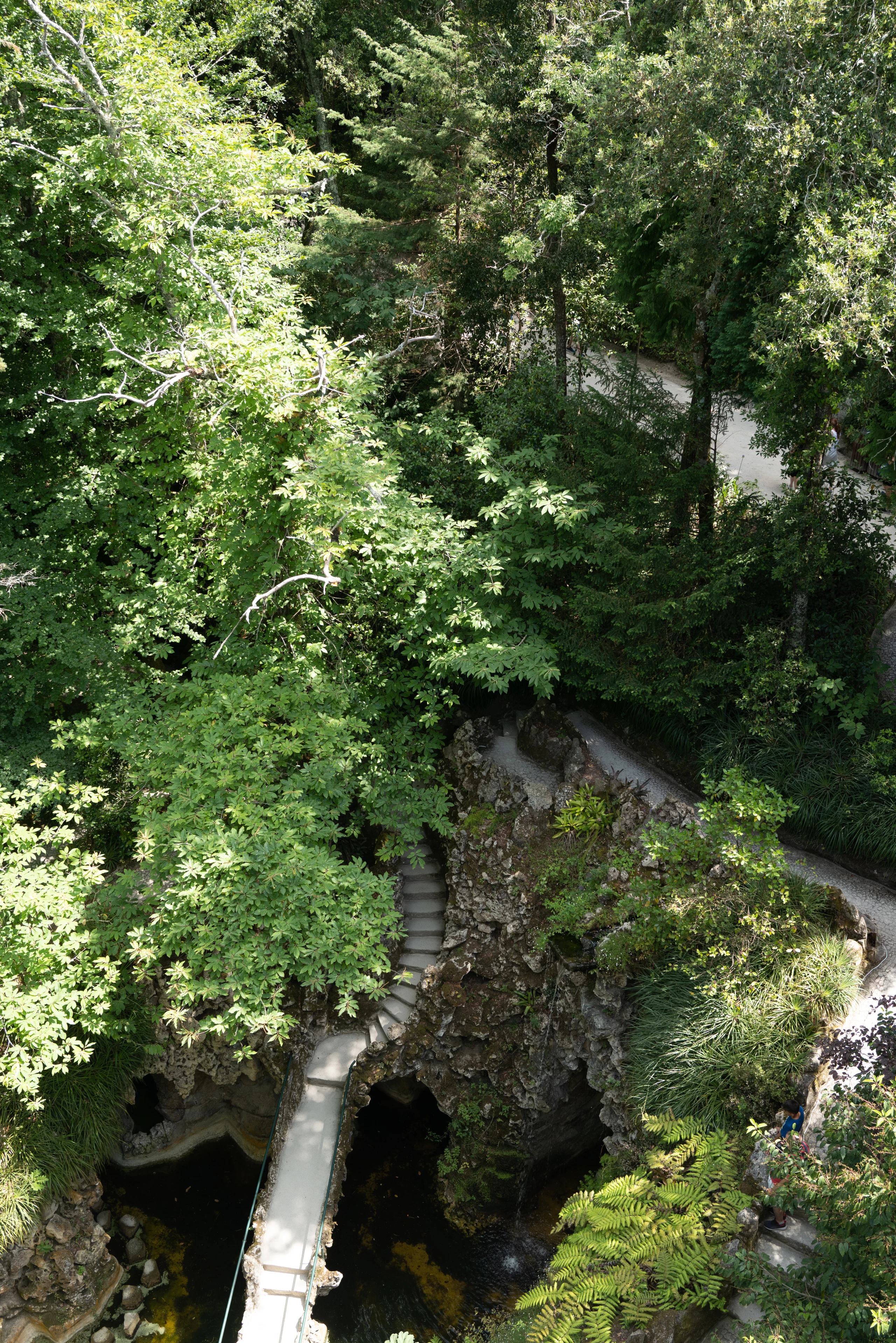 A narrow stone stair descends through a lush garden.