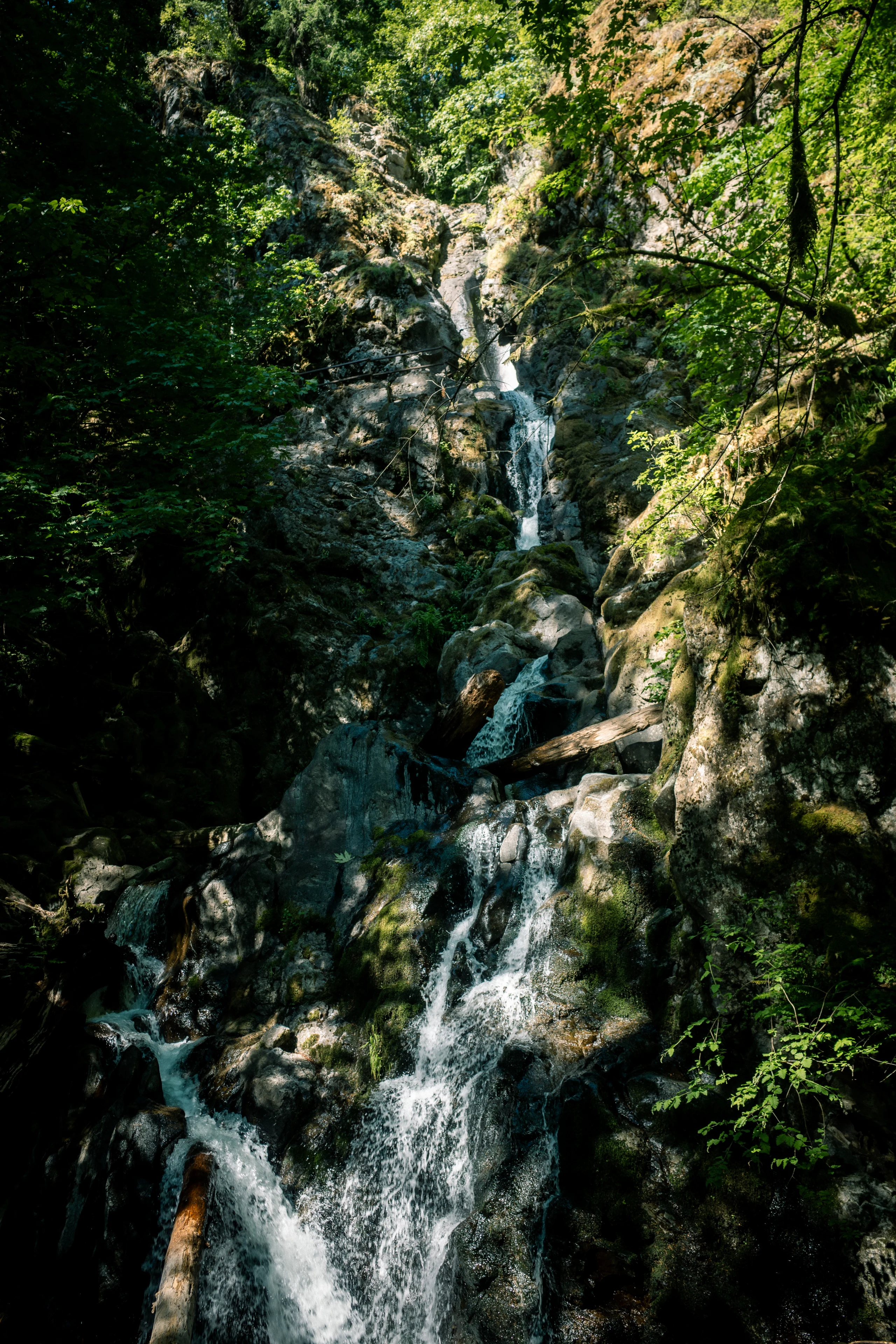 A multi-tiered waterfall descends a rocky forest ravine through patches of sunlight, moss, and leafy branches.