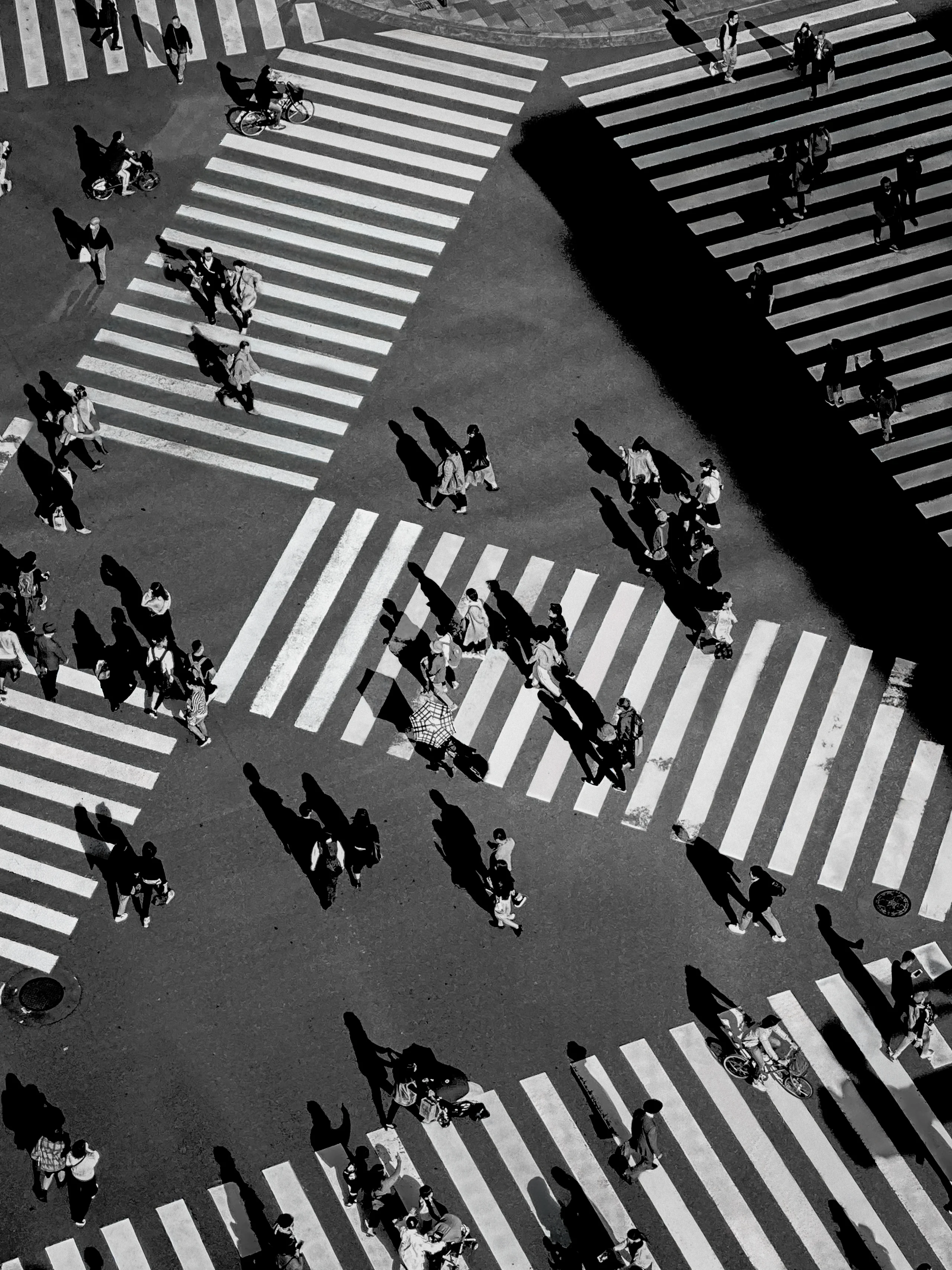 An overhead black-and-white view of pedestrians and cyclists moving through the striped crosswalks at Shibuya Crossing.