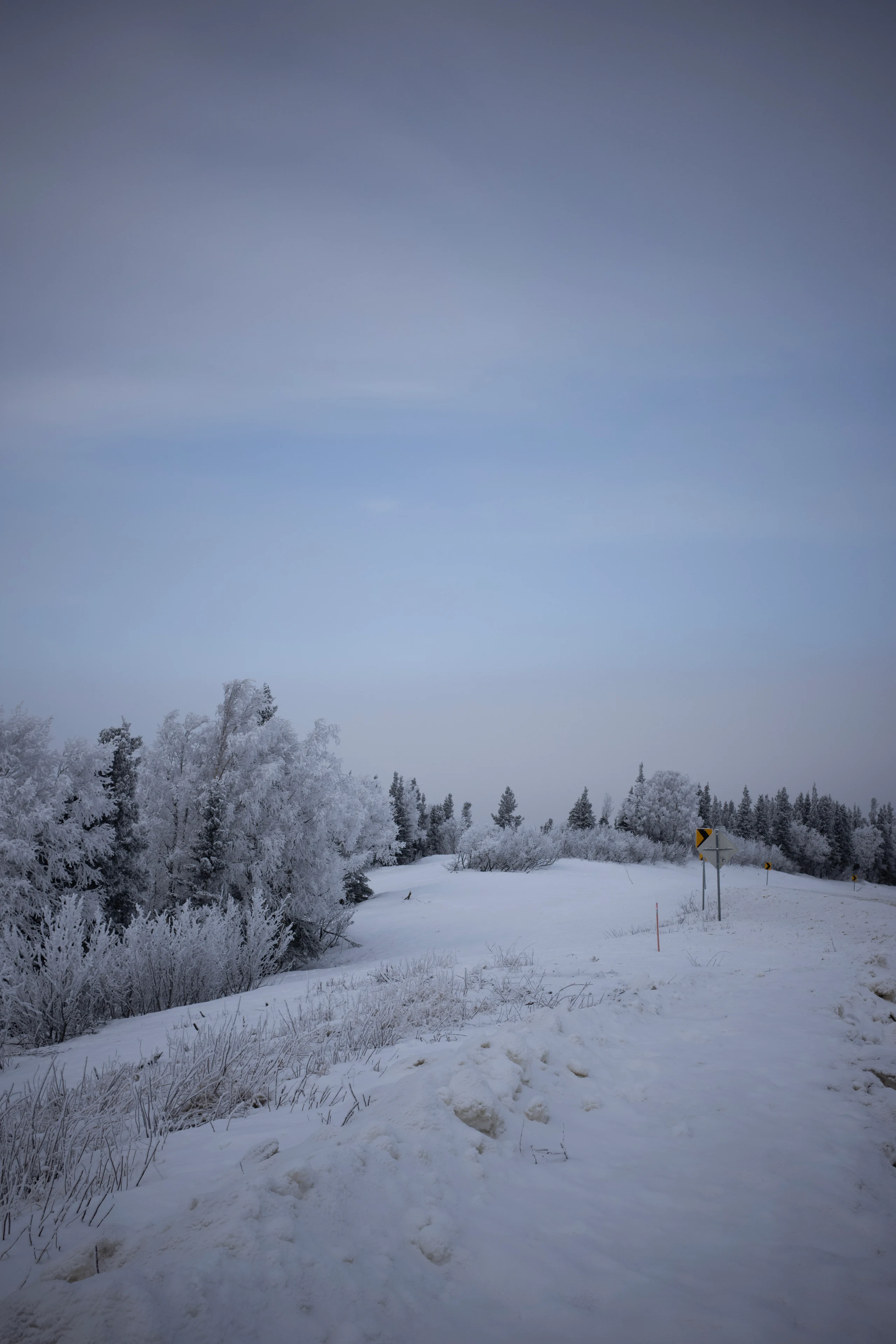 A snow-covered road curving through frosted trees under an overcast sky.