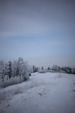 A snow-covered road curving through frosted trees under an overcast sky.