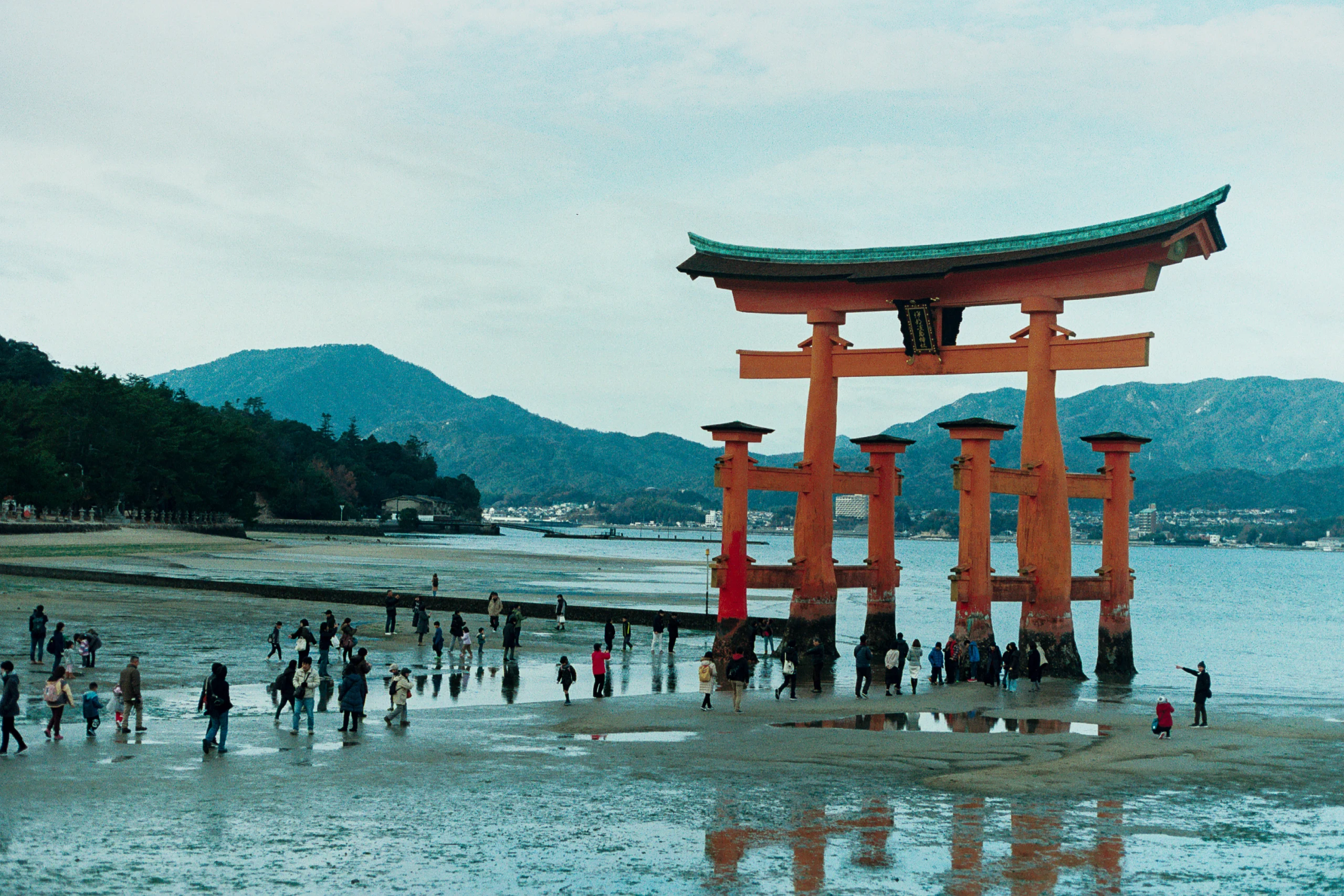Visitors walk across an exposed tidal flat beneath a large red torii gate.