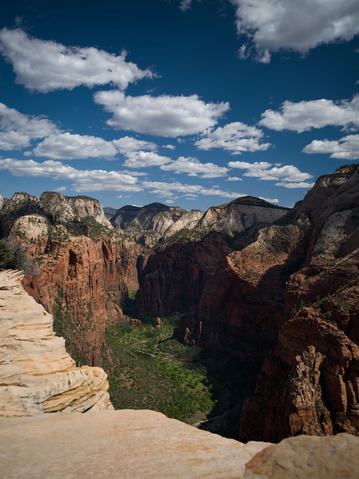 A deep sandstone canyon opens between layered cliffs.