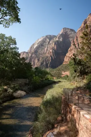 A vertical view of a walkway passing beneath tall canyon walls in Zion.