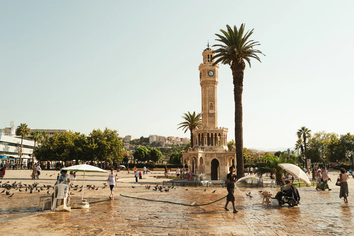 İzmir Clock Tower and a palm tree in the plaza.