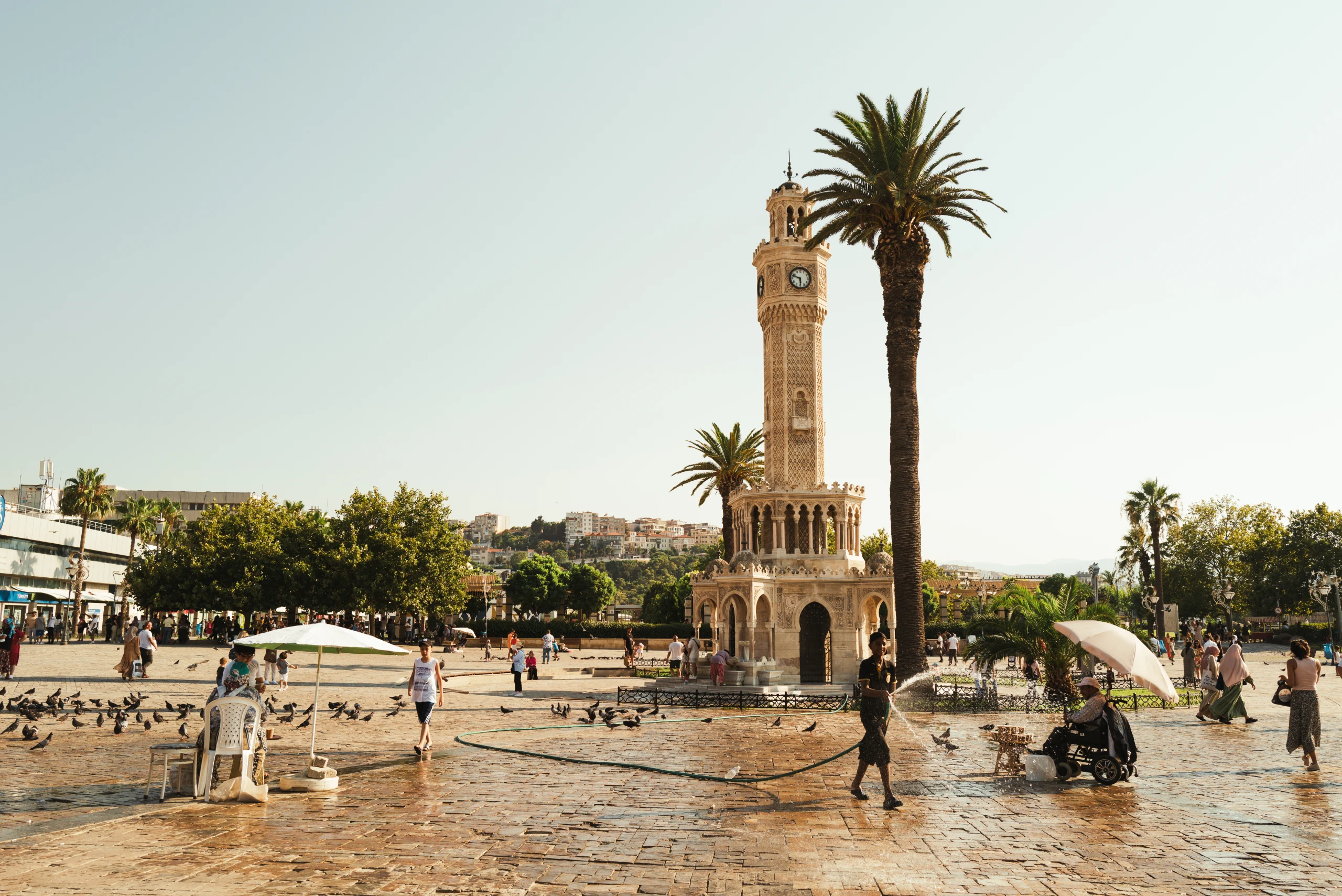 İzmir Clock Tower and a palm tree in the plaza.