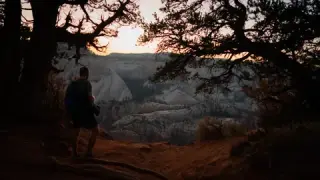 A person sits beneath a juniper tree overlooking the layered Zion canyon.