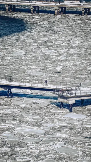A frozen river crossed by parallel blue railings and dark channels of water.