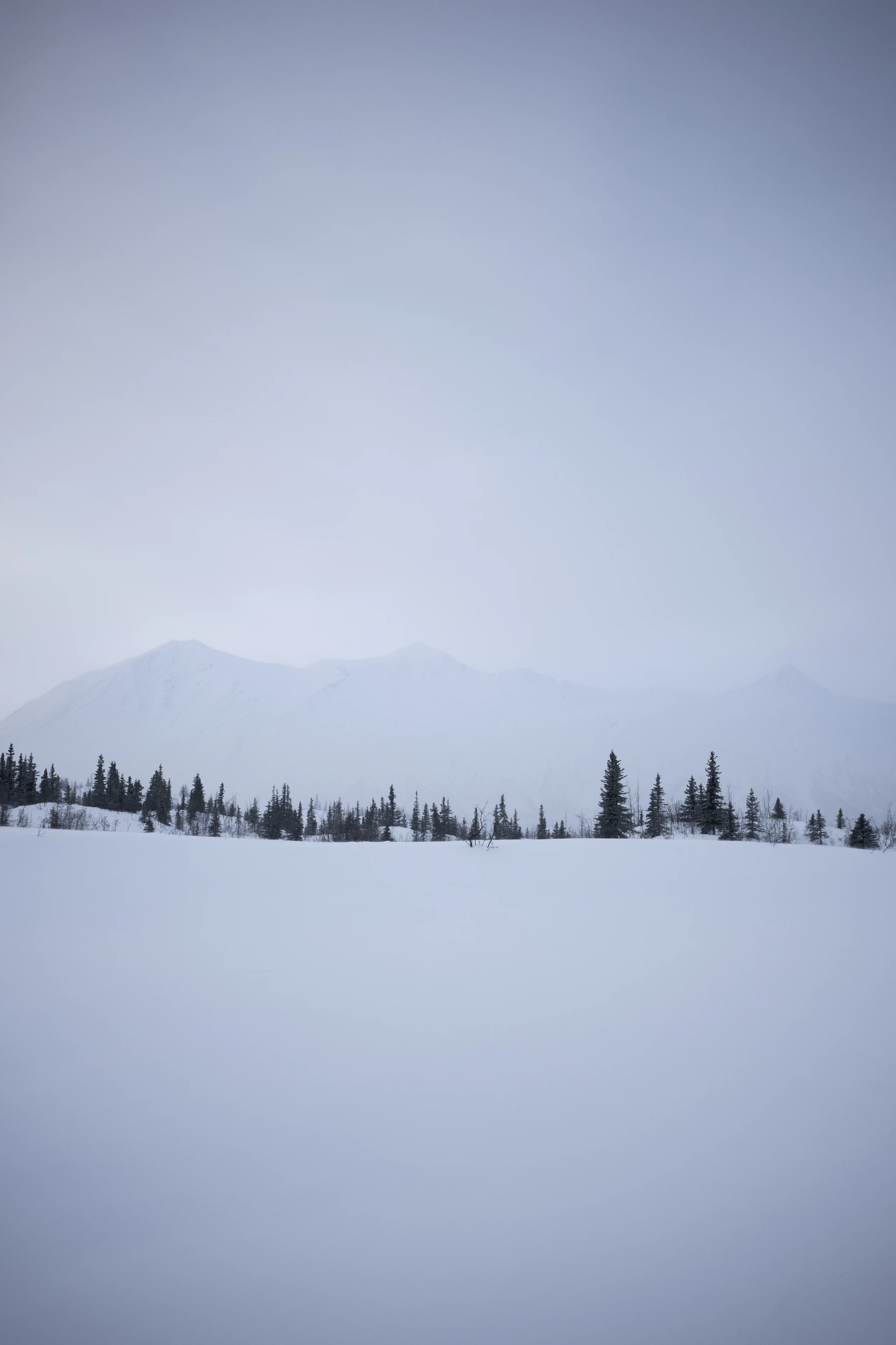 A snow-covered Alaska mountain range fades into pale blue fog above a dark line of spruce trees.