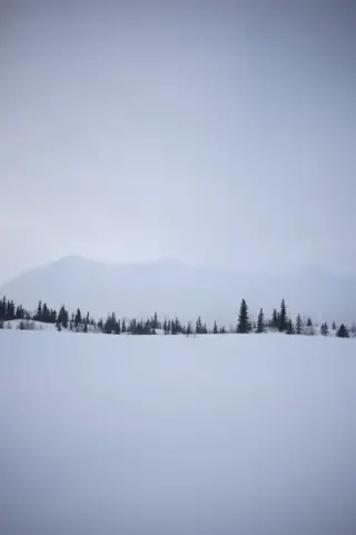 A snow-covered Alaska mountain range fades into pale blue fog above a dark line of spruce trees.