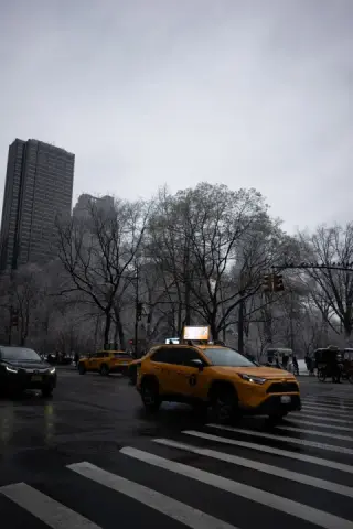 A yellow taxi crosses a striped crosswalk beneath leafless trees and a gray New York sky.