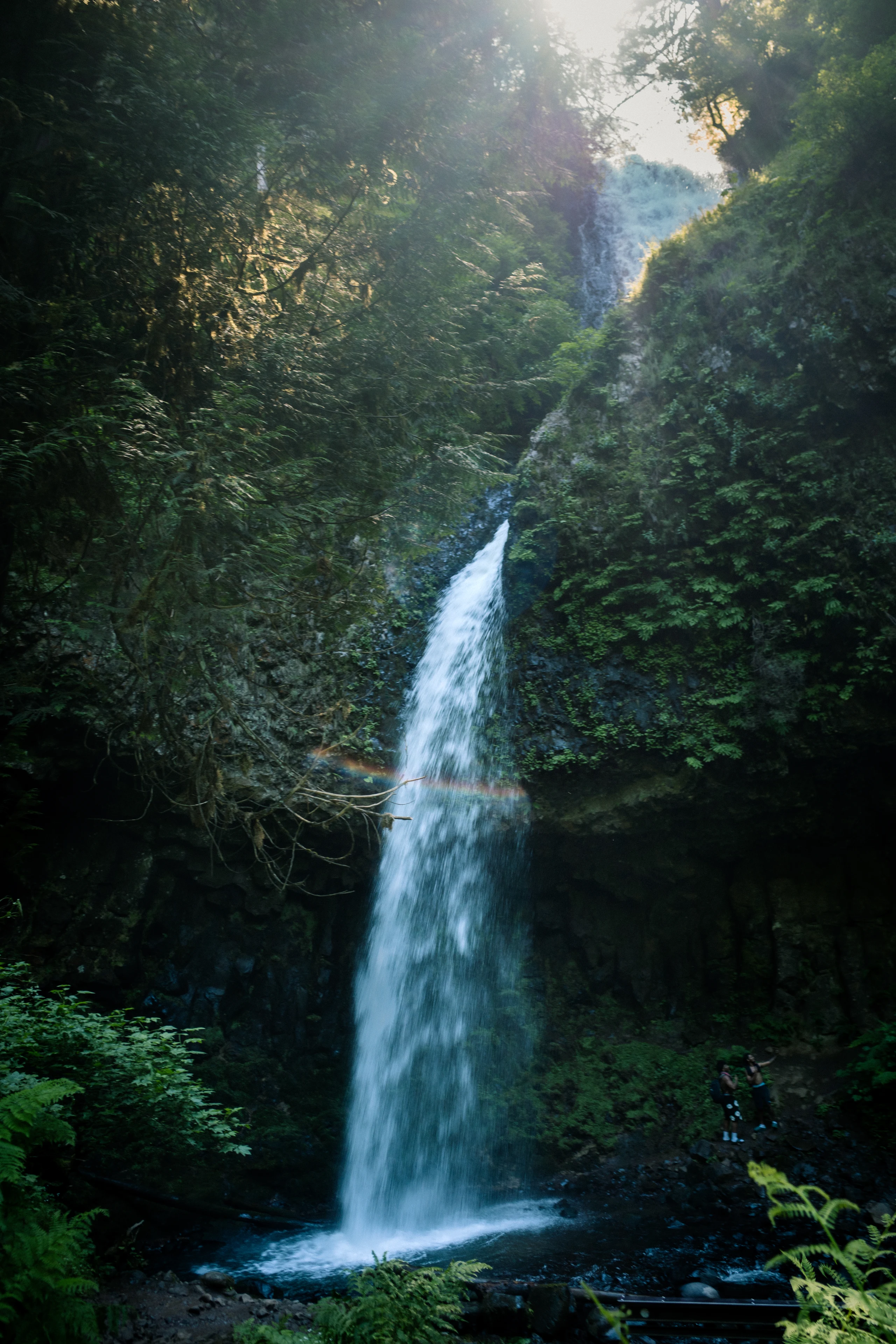 A tall waterfall drops through a fern-lined forest beneath hazy sunlight, with a faint rainbow across the water and two visitors at its base.