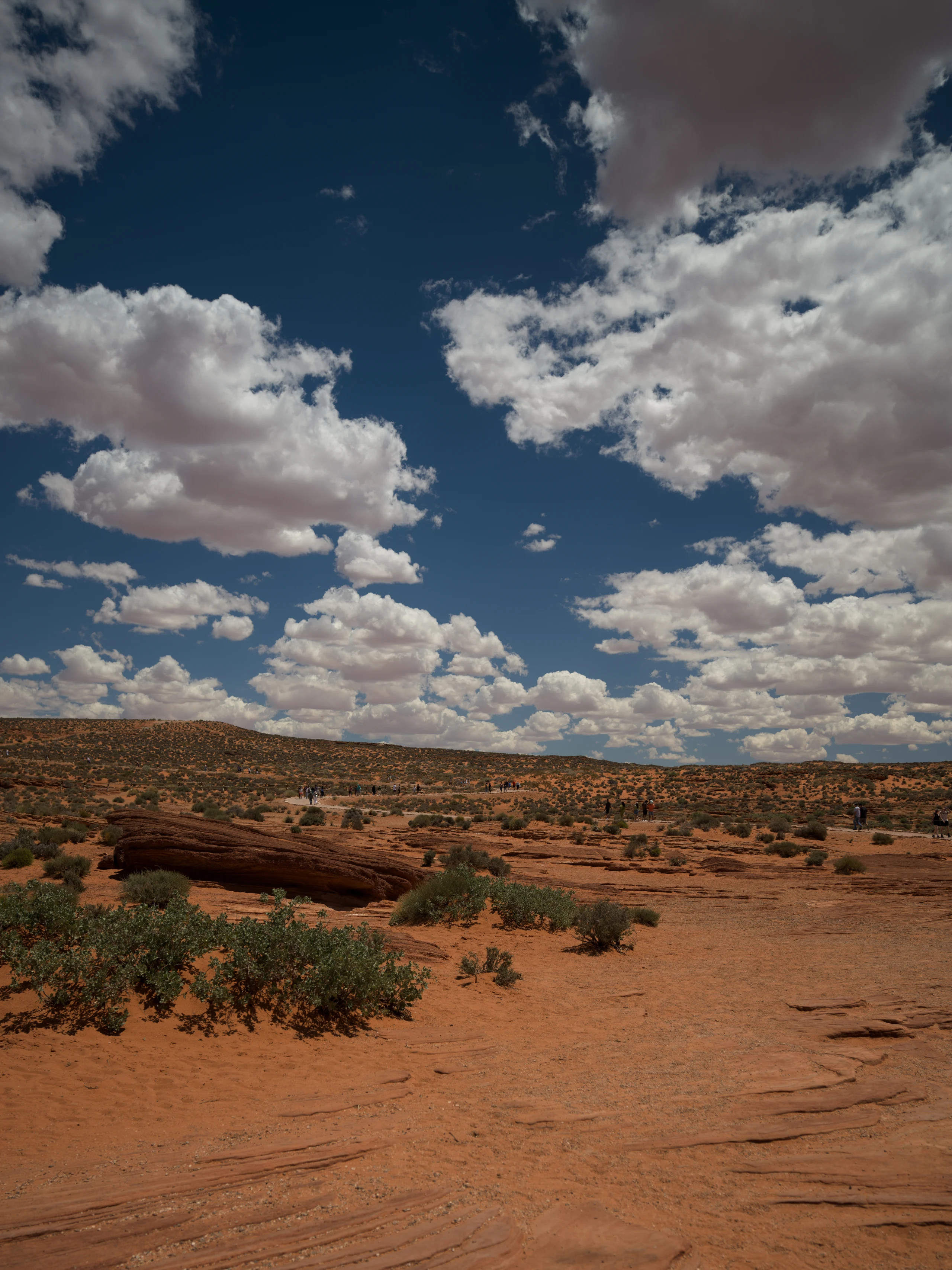 Red sandstone and low shrubs extend beneath towering clouds.