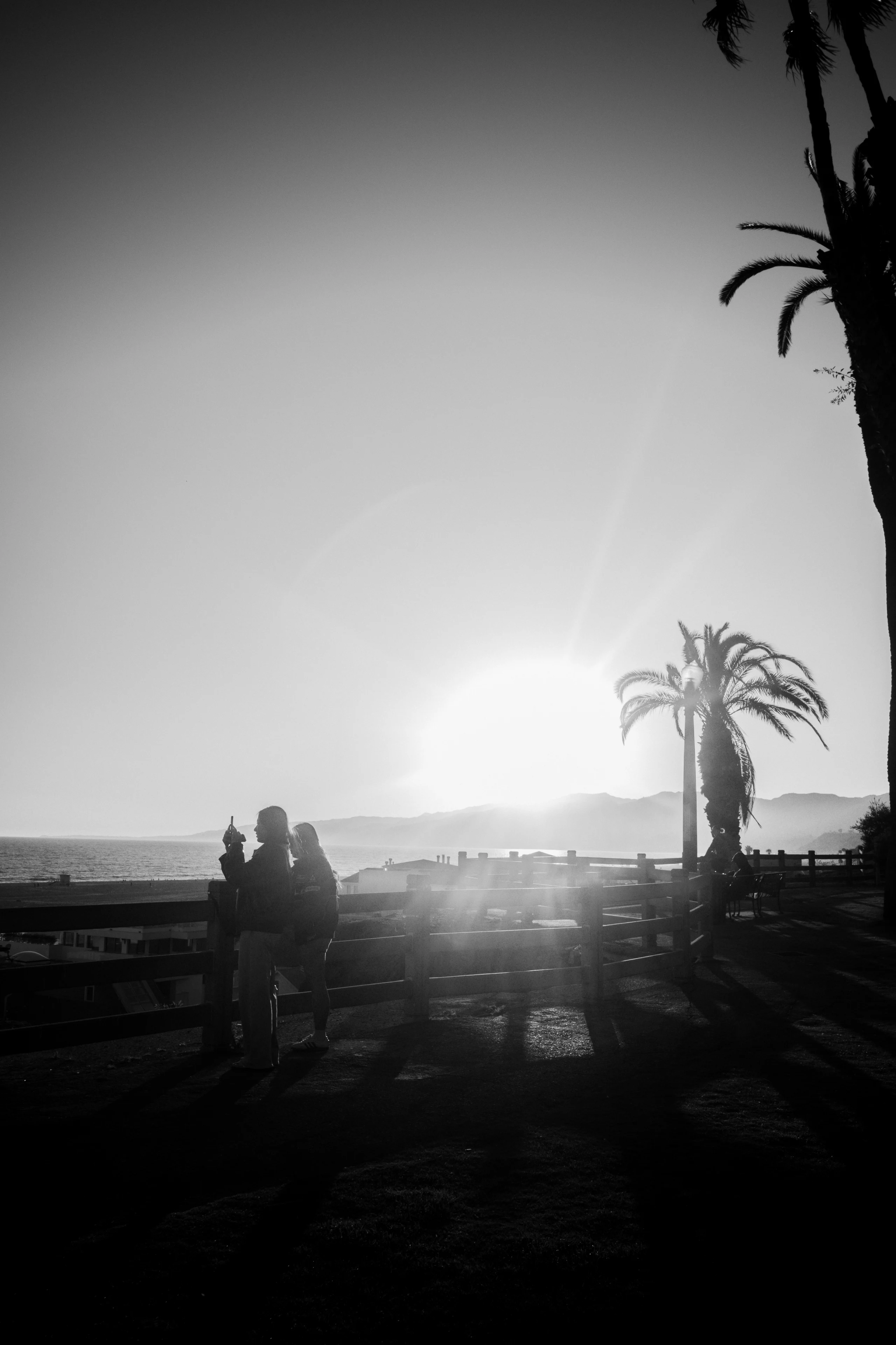 Two silhouetted figures beneath palms at a bright Pacific sunset