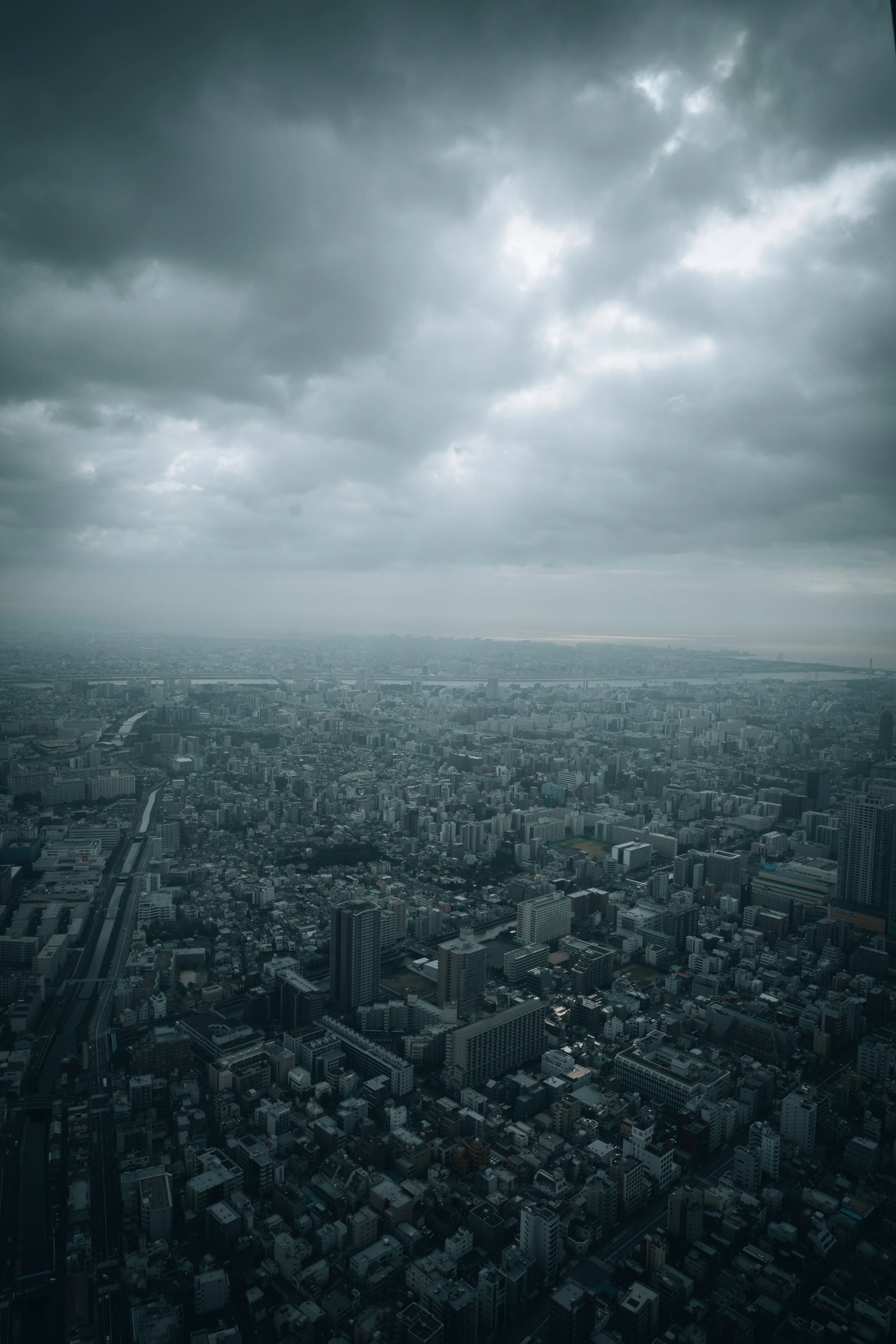 A broad Tokyo skyline viewed from above beneath dramatic gray clouds.