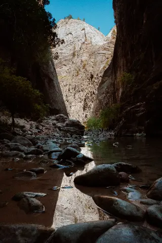 A shallow river flows between towering rock walls in the Zion Narrows.