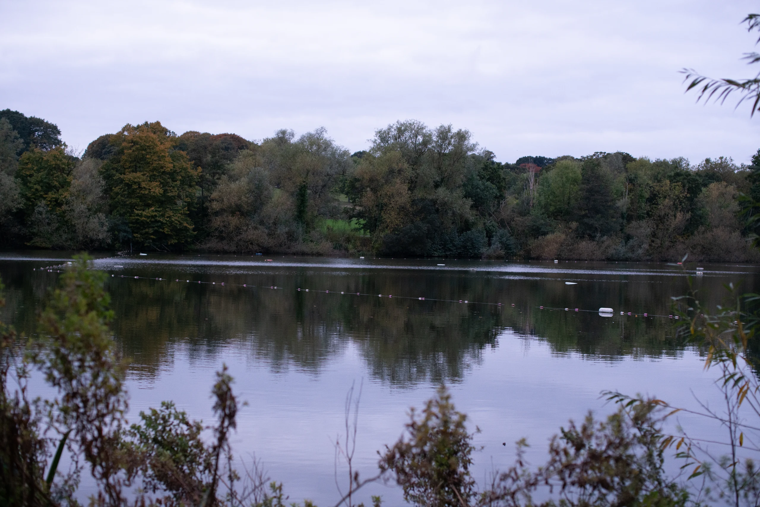 A calm lake bordered by trees beneath an overcast sky.